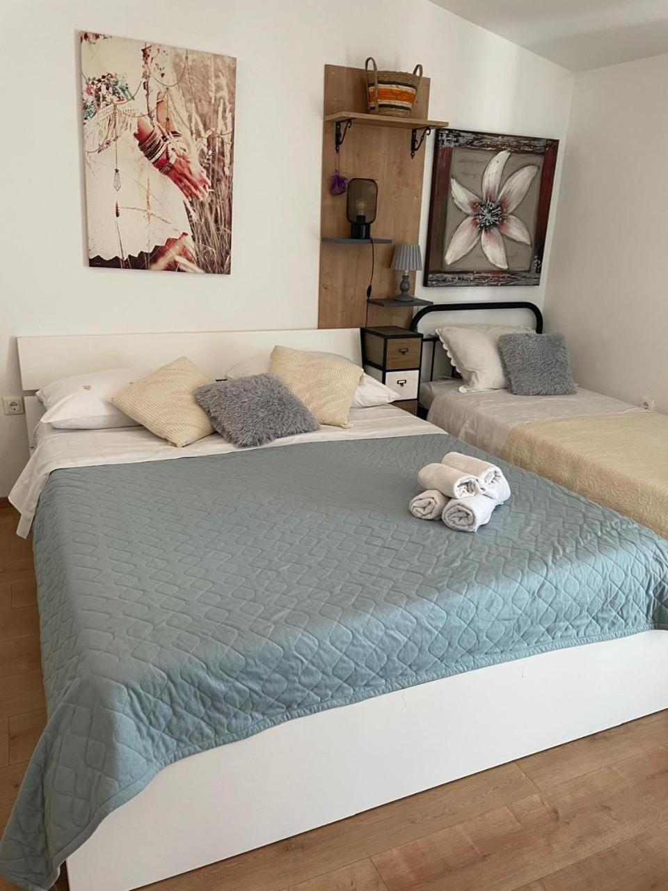 Apartman Suzana Sindija Bibinje Exterior photo
